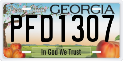 GA license plate PFD1307