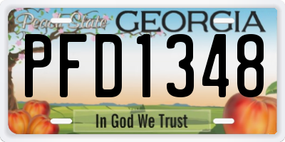 GA license plate PFD1348