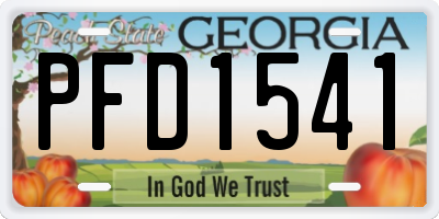 GA license plate PFD1541