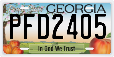 GA license plate PFD2405