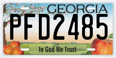 GA license plate PFD2485
