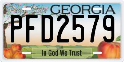 GA license plate PFD2579