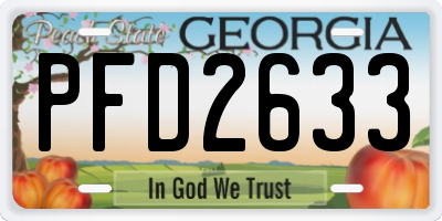 GA license plate PFD2633
