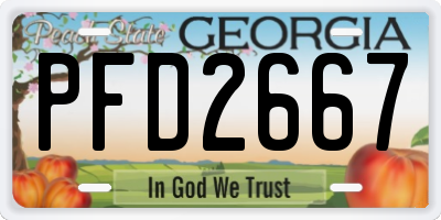 GA license plate PFD2667
