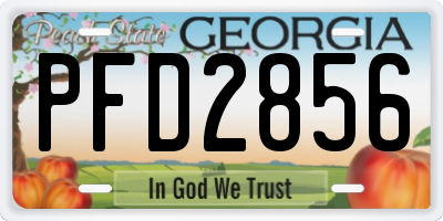 GA license plate PFD2856
