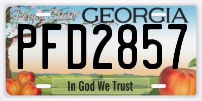 GA license plate PFD2857