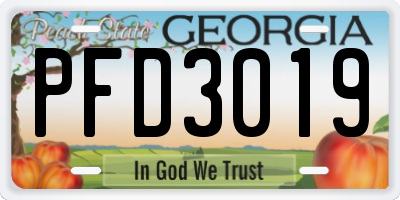 GA license plate PFD3019