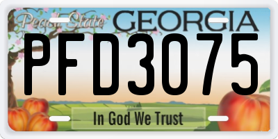 GA license plate PFD3075