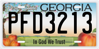 GA license plate PFD3213