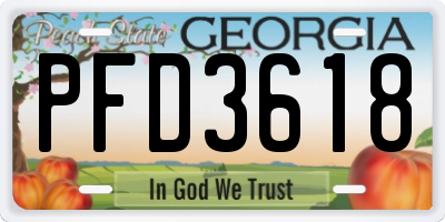 GA license plate PFD3618