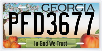 GA license plate PFD3677