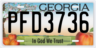 GA license plate PFD3736