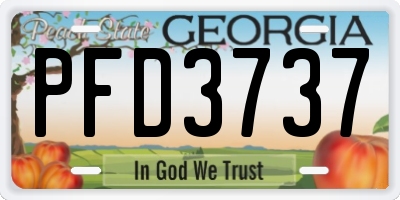 GA license plate PFD3737