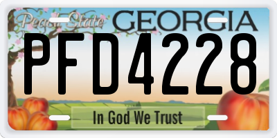 GA license plate PFD4228
