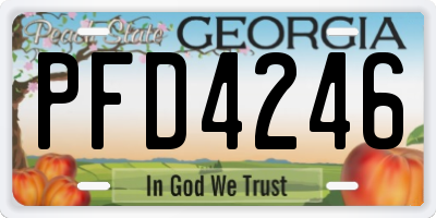 GA license plate PFD4246