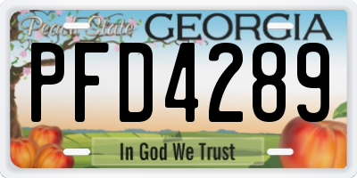 GA license plate PFD4289