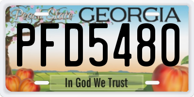 GA license plate PFD5480