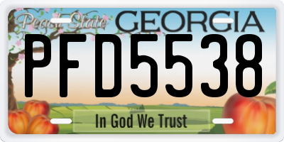 GA license plate PFD5538