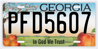 GA license plate PFD5607