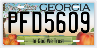 GA license plate PFD5609