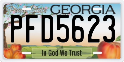 GA license plate PFD5623