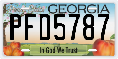GA license plate PFD5787