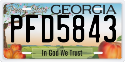 GA license plate PFD5843