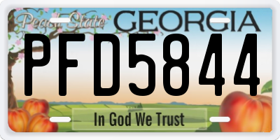 GA license plate PFD5844