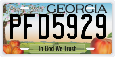 GA license plate PFD5929