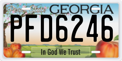 GA license plate PFD6246