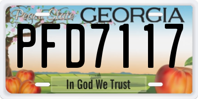 GA license plate PFD7117