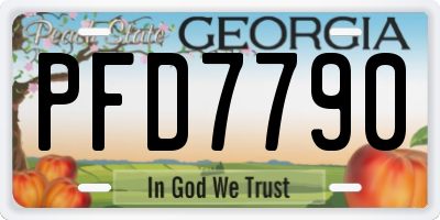 GA license plate PFD7790