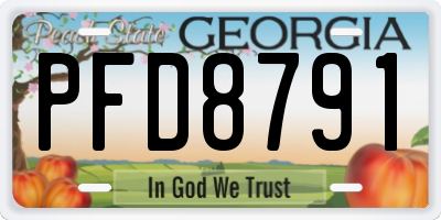 GA license plate PFD8791