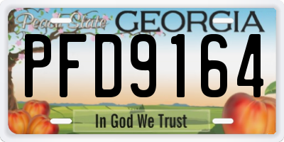 GA license plate PFD9164