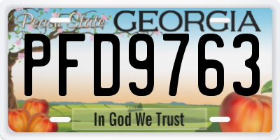 GA license plate PFD9763