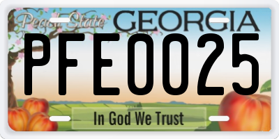 GA license plate PFE0025