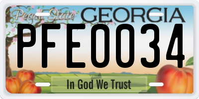 GA license plate PFE0034