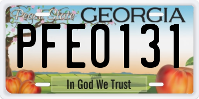 GA license plate PFE0131