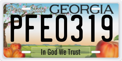 GA license plate PFE0319