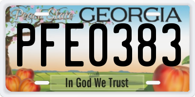 GA license plate PFE0383
