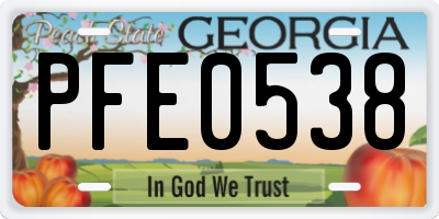 GA license plate PFE0538