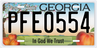 GA license plate PFE0554