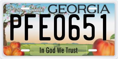 GA license plate PFE0651