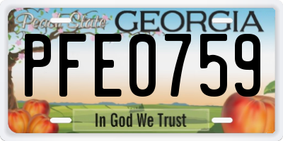 GA license plate PFE0759