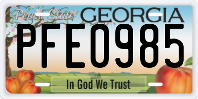 GA license plate PFE0985