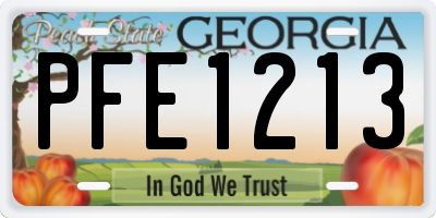 GA license plate PFE1213