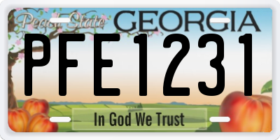 GA license plate PFE1231