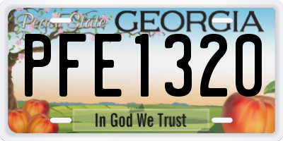 GA license plate PFE1320