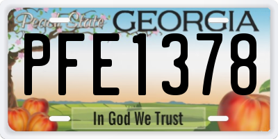 GA license plate PFE1378
