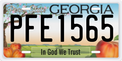 GA license plate PFE1565